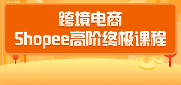 2020跨境电商蓝海新机会-SHOPEE大卖特训营：高阶终极课程（16节课）-八号资源库