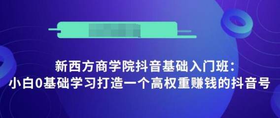 抖音基础入门班：小白0基础学习打造一个高权重赚钱的抖音号-八号资源库