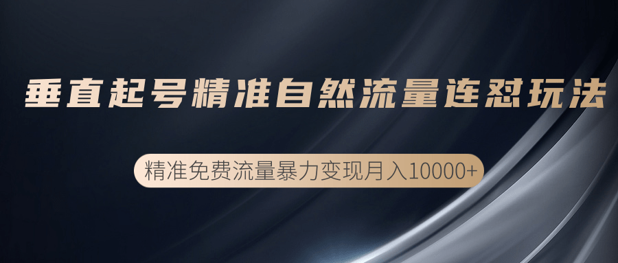 垂直起号精准自然流量连爆玩法，精准引流暴力变现月入10000+-八号资源库