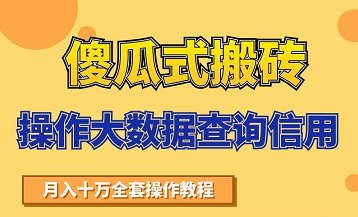 搬砖操作大数据查询信用项目赚钱教程，祝你快速月入6万-八号资源库