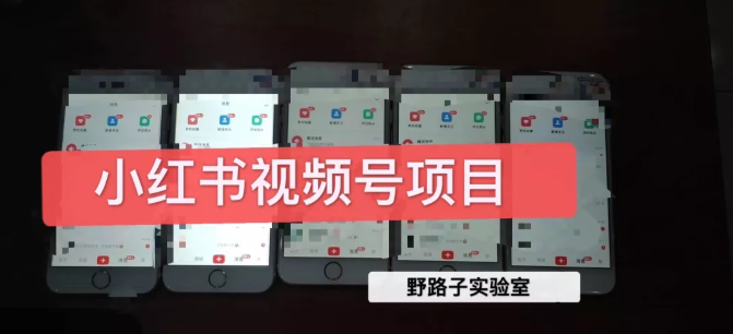 野路子小红书视频号1.0项目，直接上手操作就能赚钱的视频号项目-八号资源库