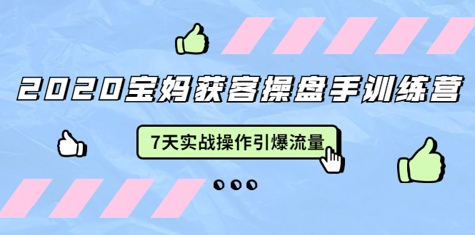 2020宝妈获客操盘手训练营：7天实战操作引爆 母婴、都市、购物宝妈流量-八号资源库