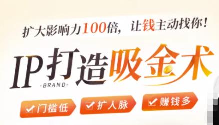 IP打造吸金术：0基础0资源，也能扩大影响力100倍，让钱主动找你！-八号资源库