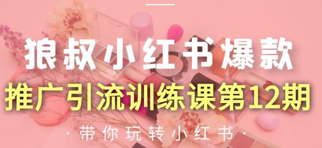 狼叔小红书爆款推广引流训练课第12期，手把手带你玩转小红书-八号资源库