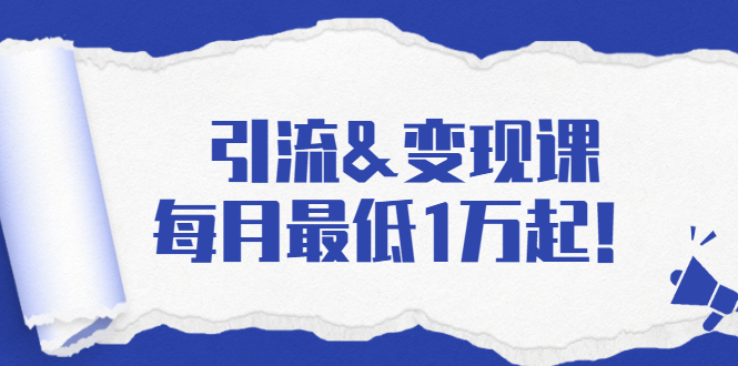 引流&变现课：分享一整套流量方法以及各个渠道收入，每月最低1万起！-八号资源库