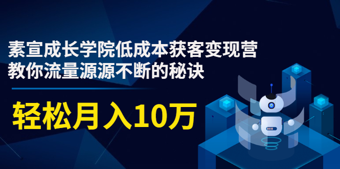 素宣成长学院低成本获客变现营，教你流量源源不断的秘诀，轻松月入10万-八号资源库