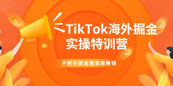 TikTok海外掘金实操特训营：手把手教运营变现赚钱-八号资源库