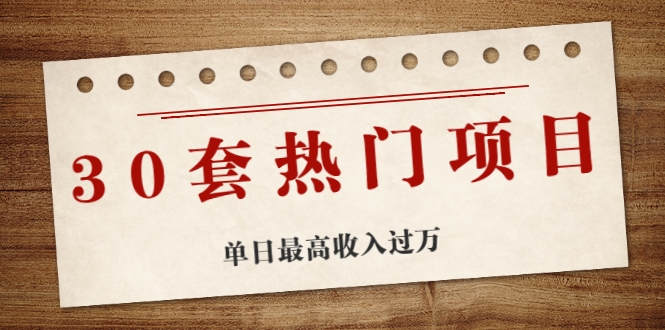 30套热门项目：单日最高收入过万 (网赚项目、朋友圈、涨粉套路、抖音、快手)等-八号资源库