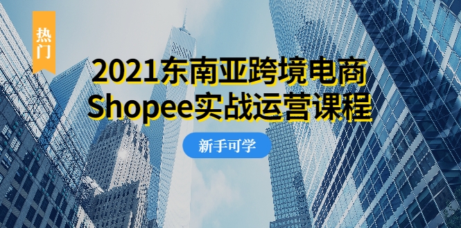 2021东南亚跨境电商Shopee实战运营课程，0基础、0经验、0投资的副业项目-八号资源库