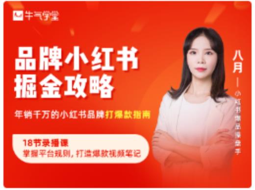 品牌小红书掘金攻略，年销千万的小红书品牌打爆款指南-八号资源库