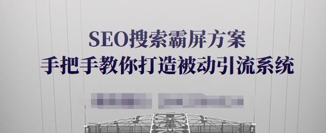 SEO搜索霸屏方案，手把手教你打造被动引流系统【视频课程】-八号资源库