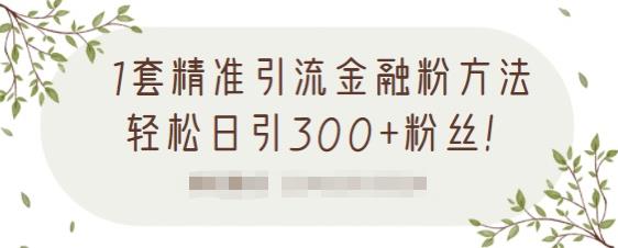 1套精准引流金融粉方法，轻松日引300+粉丝-八号资源库