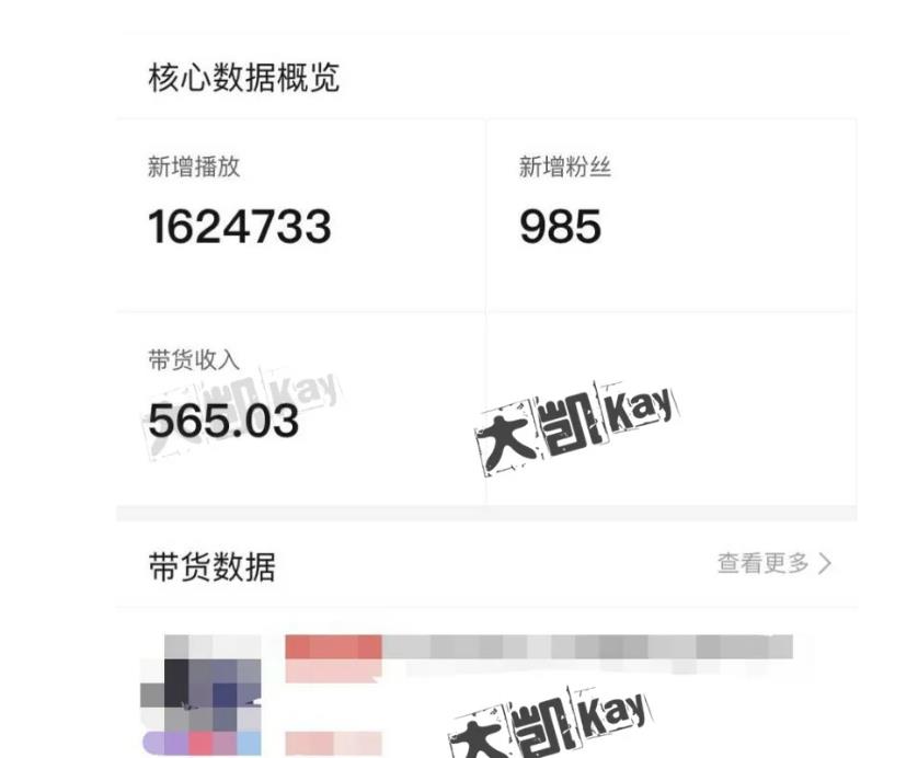 大凯进阶圈新玩法之拼多多视频玩法，利润大概一个号一天能有500~1500的左右!-八号资源库