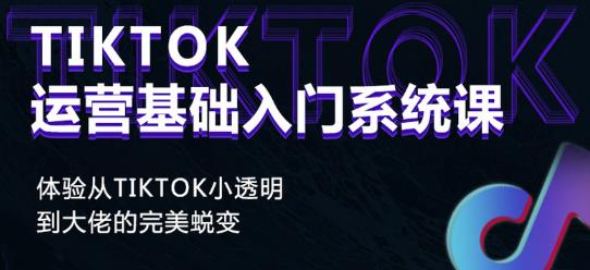 Tiktok实操进阶课程，体验从tiktok小透明到大佬的完美蜕变-八号资源库