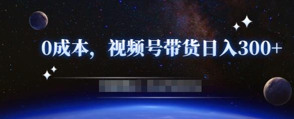 零基础视频号带货赚钱项目，0成本0门槛轻松日入300+【视频教程】-八号资源库