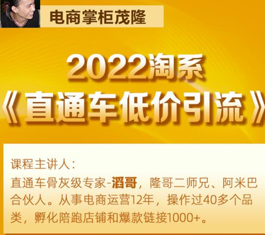 茂隆2022直通车低价引流玩法，教大家如何低投入高回报的直通车玩法-八号资源库