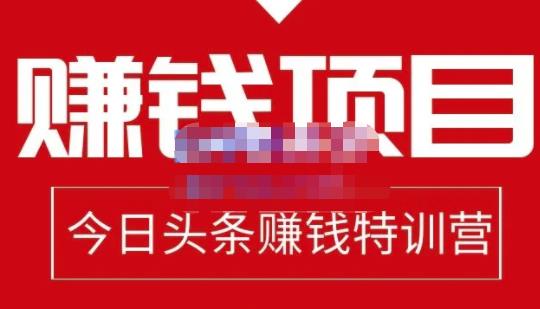 懒人领域·今日头条项目玩法，头条中视频项目，单号收益在50—500可批量-八号资源库