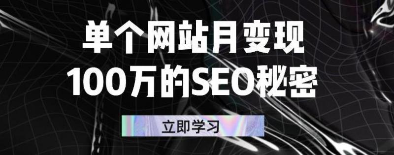 单个网站月变现100万的SEO秘密，百分百做出赚钱站点-八号资源库