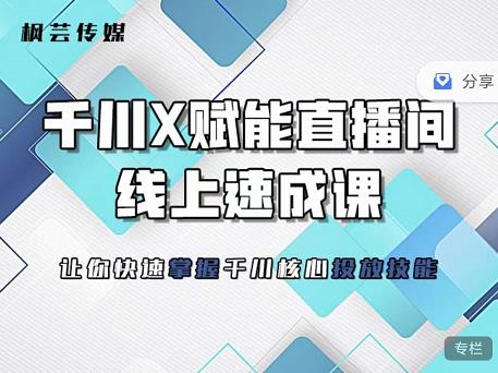枫芸传媒-线上千川提升课，提升千川认知，提升千川投放效果-八号资源库