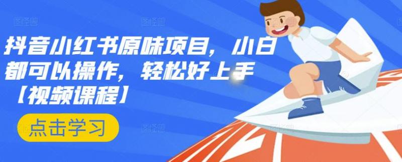 抖音小红书原味项目，小白都可以操作，轻松好上手【视频课程】-八号资源库