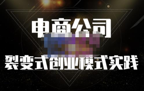 聚草堂·电商公司裂变式创业模式实践，电商卖家的人力资源管理分享-八号资源库