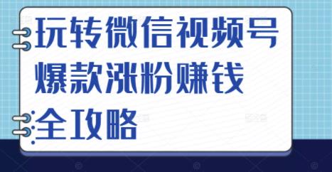 玩转微信视频号爆款涨粉赚钱全攻略，让你快速抓住流量风口，收获红利财富-八号资源库