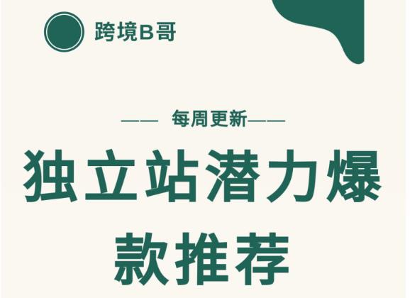 【跨境B哥】独立站潜力爆款选品推荐，测款出单率高达百分之80-八号资源库