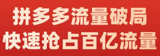 阿杰·拼多多流量破局:如何打黑标，爆款的思路，拼多多流量框架，快速抢占百亿流量-八号资源库