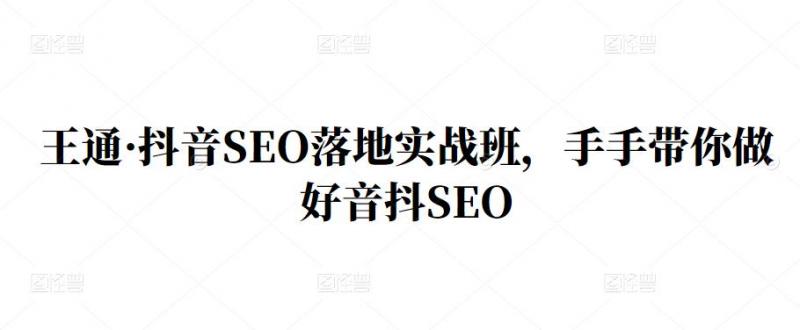 王通·抖音SEO落地实战班，手‬手带你做好音抖‬‬SEO-八号资源库
