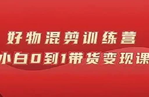 万三好物混剪训练营：小白0到1带货变现课-八号资源库
