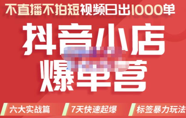 推易电商·2022年抖音小店爆单营，不直播、不拍短视频、日出1000单，暴力玩法-八号资源库