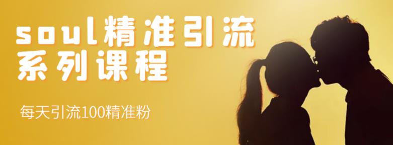 soul精准引流系列课程，每天引流100精准粉-八号资源库
