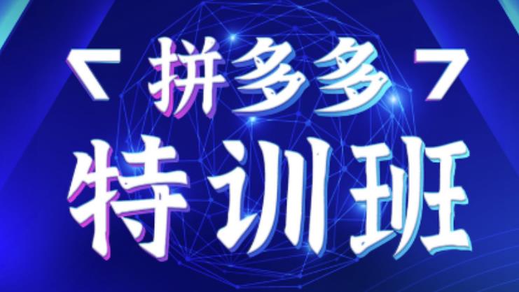 星雪教育·拼多多基础班+进阶班+突破班，用系统的学习模式快速改变现状价值3580元-八号资源库