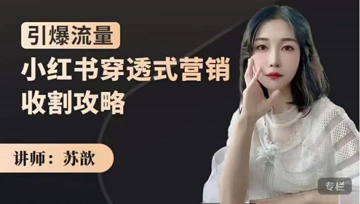 苏歆：小红书穿透式营销收割攻略，引爆流量，助你玩转小红书-八号资源库