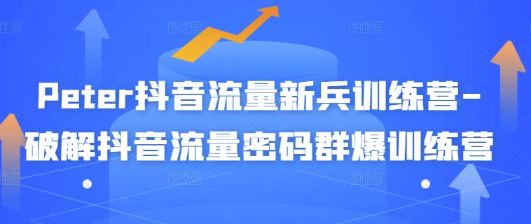 Peter抖音流量新兵训练营-破解抖音流量密码群爆训练营（新兵）-八号资源库
