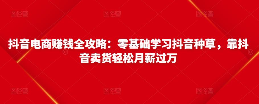抖音电商赚钱全攻略：零基础学习抖音种草，靠抖音卖货轻松月薪过万-八号资源库