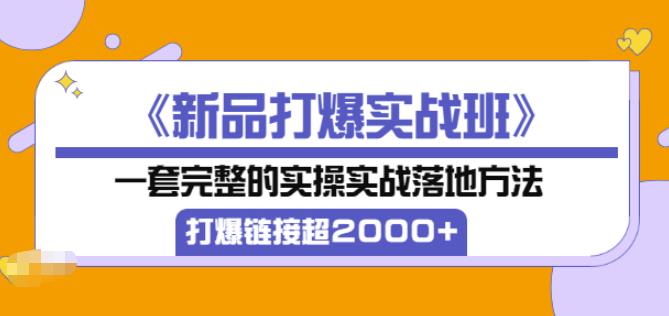 凌童《新品打爆实战班》,一套完整的实操实战落地方法，打爆链接超2000+（28节课)-八号资源库