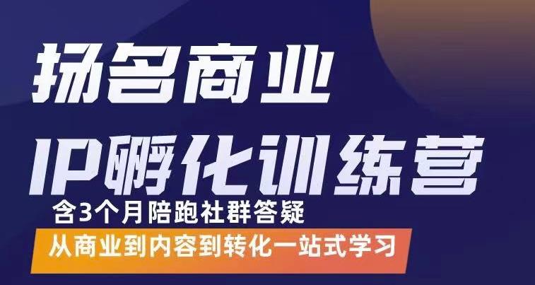 杨名商业IP孵化训练营，从商业到内容到转化一站式学 价值5980元-八号资源库