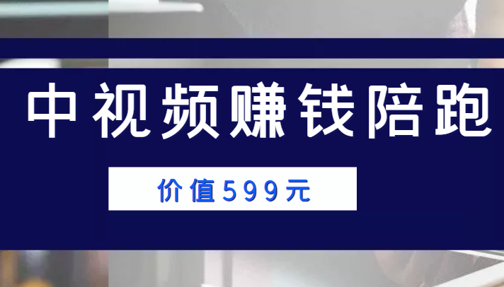 中视频赚钱陪跑，卖中视频账户赚钱收益陪跑项目（价值599元）-八号资源库