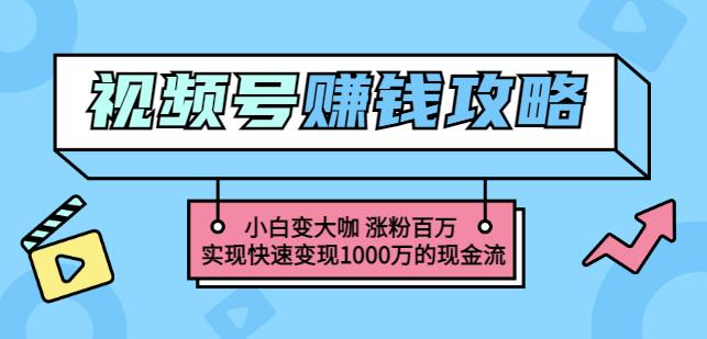 玩转微信视频号赚钱：小白变大咖涨粉百万实现快速变现1000万的现金流-八号资源库