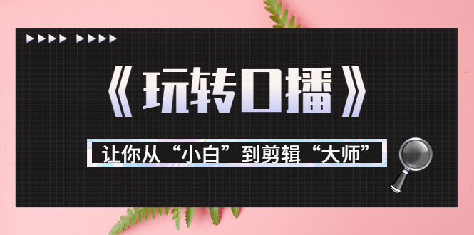 月营业额700万+大佬教您《玩转口播》让你从“小白”到剪辑“大师”-八号资源库