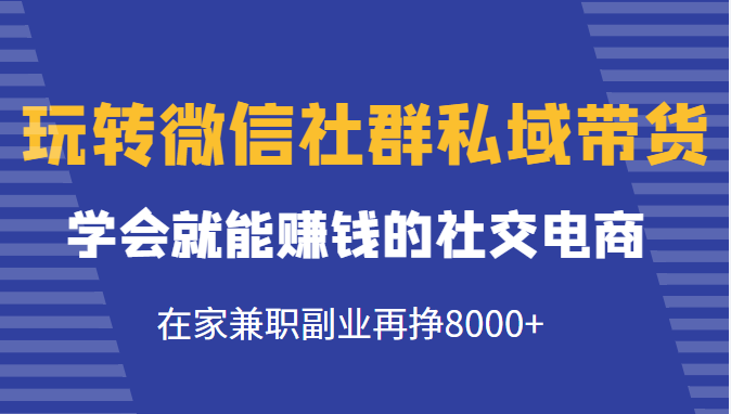 玩转微信社群私域带货，学会就能赚钱的社交电商，在家兼职副业再挣8000+-八号资源库