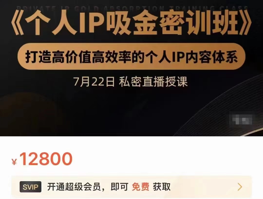 个人IP吸金密训班，打造高价值高效率的个人IP内容体系（价值12800元）-八号资源库