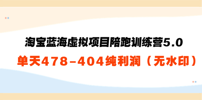 淘宝蓝海虚拟项目陪跑训练营5.0：单天478纯利润-八号资源库