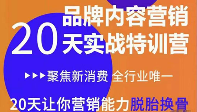 《内容营销实操特训营》20天让你营销能力脱胎换骨（价值3999）-八号资源库