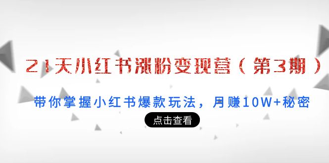 21天小红书涨粉变现营（第3期）：带你掌握小红书爆款玩法，月赚10W+秘密-八号资源库