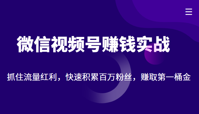 微信视频号赚钱实战：抓住流量红利，快速积累百万粉丝，赚取你的第一桶金-八号资源库
