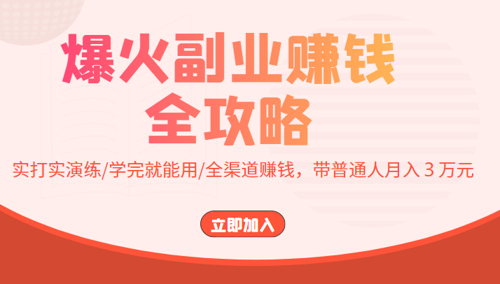 爆火副业赚钱全攻略：实打实演练/学完就能用/全渠道赚钱，带普通人月入３万元-八号资源库