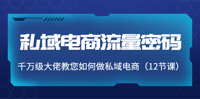 私域电商流量密码：千万级大佬教您如何做私域电商（12节课）-八号资源库