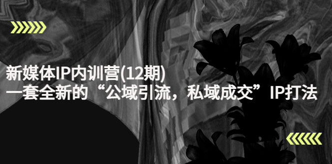 新媒体IP内训营(12期)，一套全新的“公域引流，私域成交”IP打法，直接带走-八号资源库
